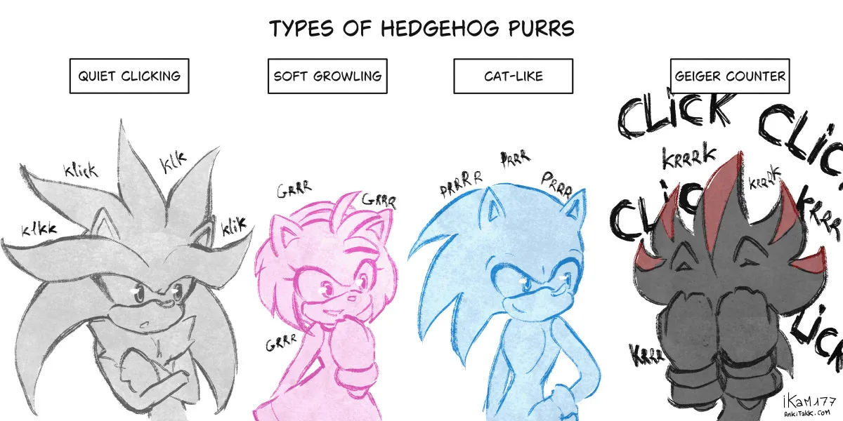 Hedgehog Purrs