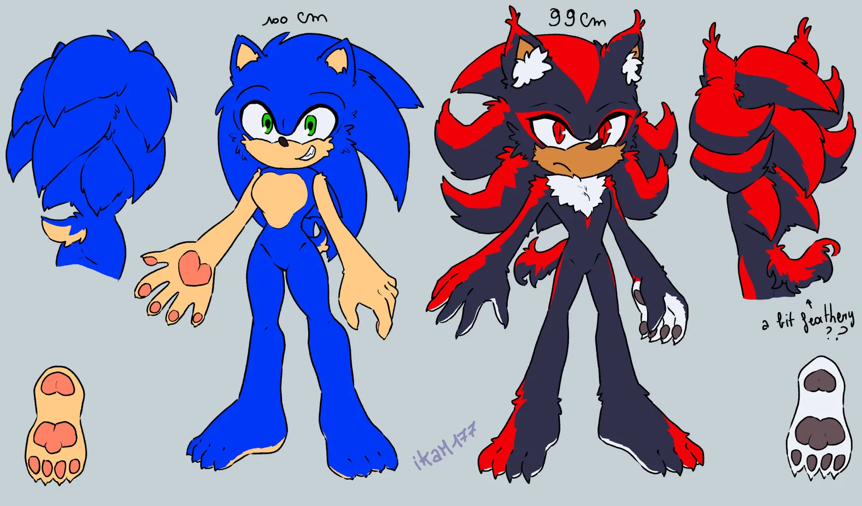 Sonic & Shadow Custom Designs